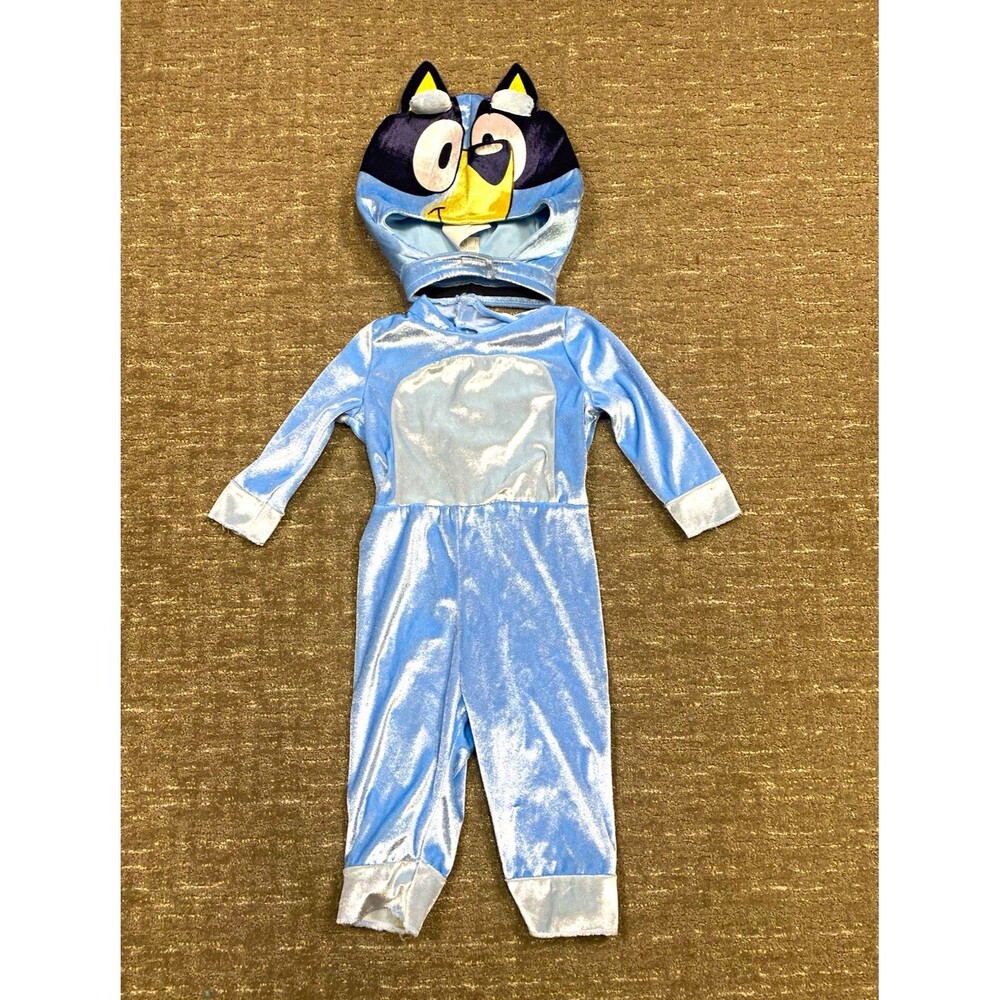 Bluey Character Halloween Costume Unisex toddler 2T